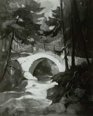 Brücke im Wilden Weißeritztal