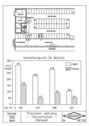 Precision dairying, Tierverhalten (Beispiel)