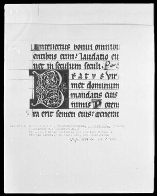 Psalterium mit Kalendarium — Initiale B (eatus vir)
