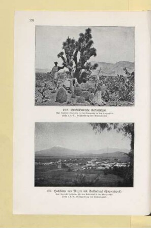 230. Hochfläche von Mexiko mit Vulkankegel (Popocatepetl)