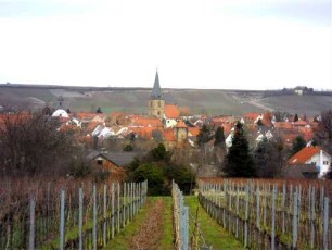 Stadtbild-Ansicht von Süden mit Stadtkirche sowie Stadtbefestigung mit Wehrtürmen inmitten von Weinlagen
