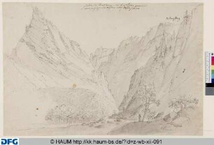 Der Hirschhornklippen hinter der Rosstrappe