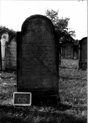 Grabstein 66 (Index: 100107219) Material: Sandstein Zustand: verwittert mit Textverlust Maße HxBxT: 130x59x10 cm Beschreibung: Stele, Sockel, eingezogener, gestelzter Rundbogenabschluß: Grabstein 66