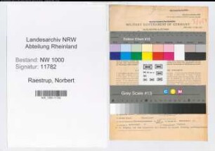 Entnazifizierung Norbert Raestrup, geb. 07.11.1904 (Regierungsreferent)
