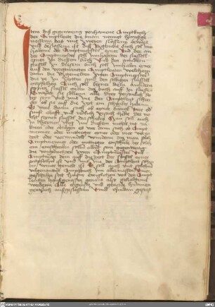 Kellerei-Gerichtslehenbuch des Würzburger Domkapitels
