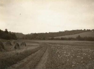 Zschopautal oberhalb Frankenberg. Blick aus der Frankenberger Weitung in das Lichtenwalder Engtal