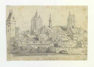 Ulm von Süden - Teilansicht Donaufront. 1880