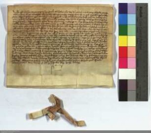 Ritter Eckard von Liederbach schenkt dem Deutschen Hause in Marburg seine Güter zu Alsfeld, Liederbach, Dirsrode, Vockenrod, Ehringshausen, Wolfha...