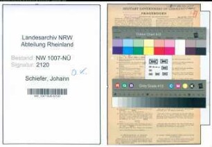 Entnazifizierung Johann Schiefer , geb. 29.11.1900 (Schlosser)