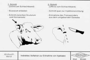 Indirektes Verfahren zur Entnahme von Injektaten