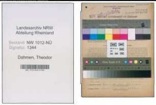 Entnazifizierung Theodor Dahmen , geb. 06.04.1881 (Landwirt)