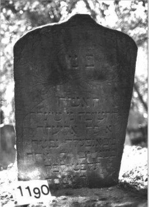 Grabstein 1190 (Index: 99899939) Material: Sandstein Zustand: unten angewittert, sonst gut erhalten, Stein steht schräg Maße HxBxT: 102x53x12 cm Beschreibung: Stele mit Schulterbogenabschluss, im Bogenfeld Blumen, Stein steht schräg Symbolik: Blumen: Grabstein 1190