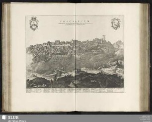 Tricaricum. Tricarico. Ville du Royaume de Naples, située dans la Basilicate