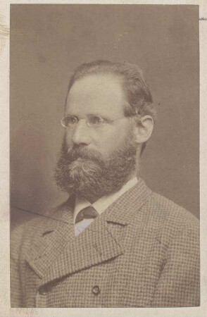 Wilhelm Reiss, Sommer 1876