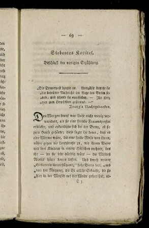Siebentes Kapitel. Beschluß der vorigen Erzählung.