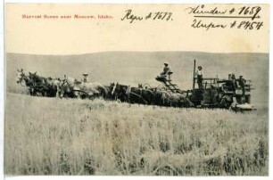 Moscow. Harvest Scene near Moscow, Idaho