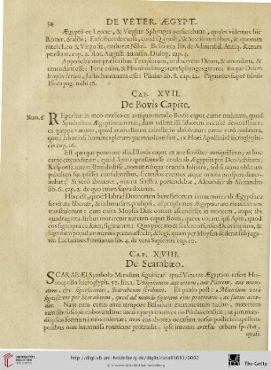 Cap. XVIII: De Scarabaeo.