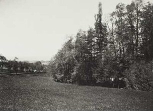 Der untere Park mit der Wiese.