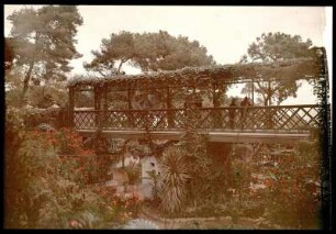 Gibraltar. Alameda-Gärten. Touristengruppe der Hapag auf einer den Garten durchquerenden Holzbrücke beim Betrachten der exotischen Pflanzenwelt