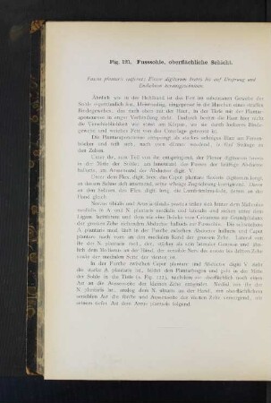 Fig. 121. Fusssohle, oberflächliche Schicht.
