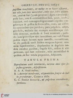 Tabula prima