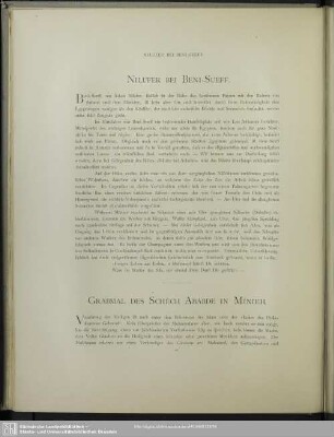 Nilufer bei Beni-Sueff