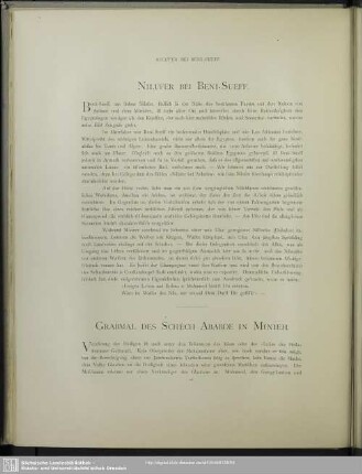 Nilufer bei Beni-Sueff
