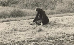 Frau in Arbeitstracht bei der Feldarbeit in Zeißig : Žona w dźěłanskej drasće na polu w Ćisku