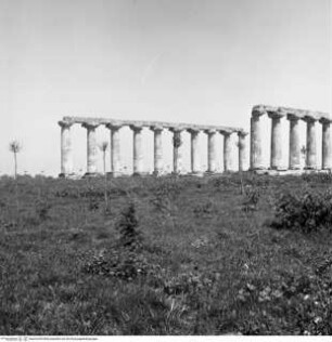 Tavole Palatine / Tempio di Hera