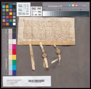 Hunolt von Letmete d. Ä. und seine Söhne Hunolt und Rotger bekunden, dass ihre Ansprüche an Graf Wilhelm von Berg und Ravensberg durch die Verleihung von 20 Schilden Manngeld aus dem Kellneramt (ablöslich mit 200 Schilden) an Hunolt dem Jüngeren getilgt sind. Im Fall der Ablösung soll Hunolt ein Gut bei Lethmate zu Lehn auftragen.
