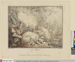 Les Lapins