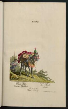 Mulus. Maul-Esel, beladenes Maulthier. Le Mulet chargé. Familia I. Einhufige