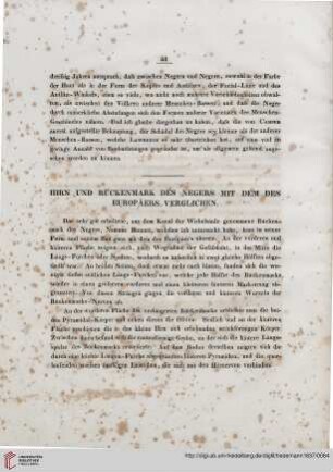 Hirn und Rückenmark des Negers mit denen des Europäers verglichen