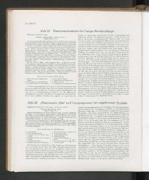Abb. 63 "Pneumonia alba" und Lungengummi bei angeborener Syphilis