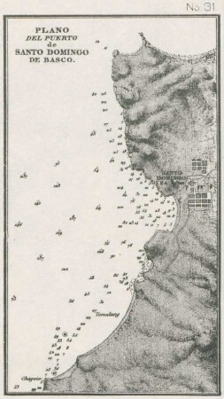 No. 31. Plano del Puerto de Santo Domingo de Basco
