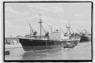 Volumnia (1958), Kirsten.- Adolf Kirsten, Hamburg