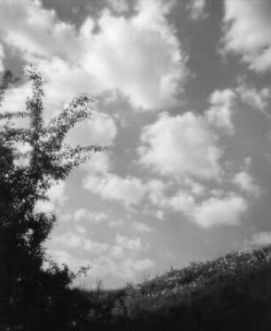 Wolkenbilder. Wolken über einer Wiese