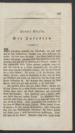 Fuenfte Klasse. Die Insekten.