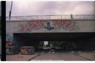 SKATE PARK