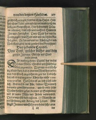 Das zehende Capitel.