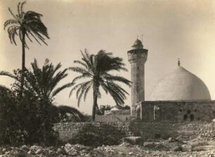 Dschenin. Moschee