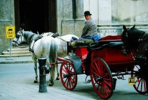 Wien - Kutscherin auf einem Fiaker : Fiakerfrau in Wien. Aufgenommen 2001 in Österreich