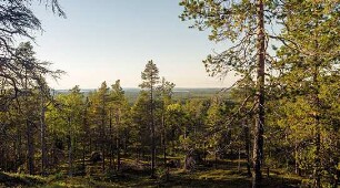 Tics - Mit Tourette nach Lappland