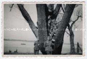 Gruppenbild von Soldaten auf einem Baum