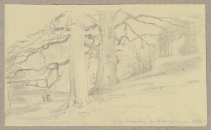 Der Jägersteig bei Willingshausen Der Jägersteig bei Willingshausen