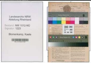 Entnazifizierung Kaete Blomenkamp , geb. 08.04.1914 (Bueroangest.)