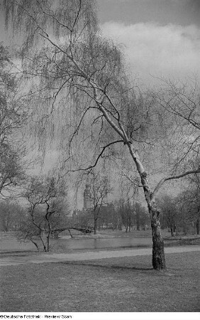 Blick in den Park mit dem Neuen Rathaus im Hintergrund