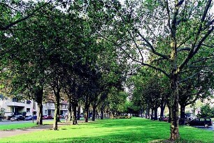 Gesamtanlage I; Offenbach, Anlagenring