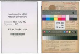 Entnazifizierung Marie Luise Fricke , geb. 10.05.1922 (Lehrerin)