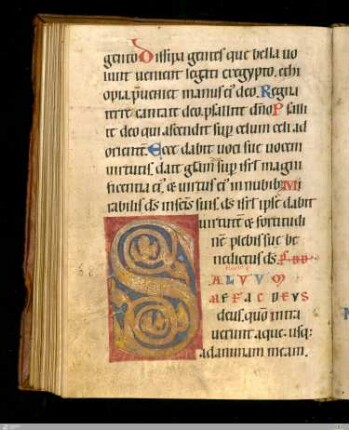 Rankeninitiale "S" (Ps. 68)